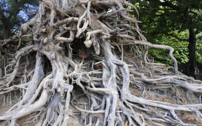 Le karma – dimension thérapeutique