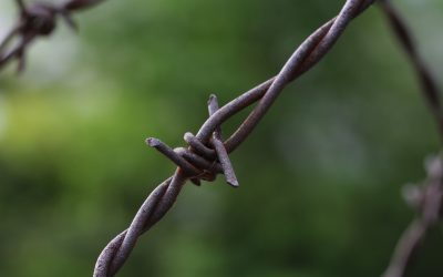 Les blessures émotionnelles