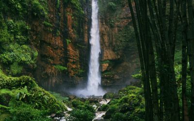 L’intuition relationnelle